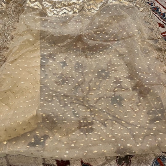 Pakistani Dress - Picture 2 of 6